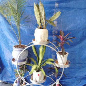 HOME GARDEN PLANTING POTS STAND