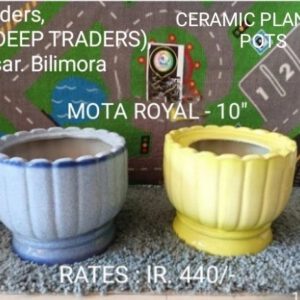 DECORATIVE CERAMIC PLANTING POTS